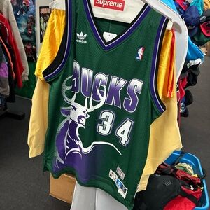 Ray Allen #34 Milwaukee Bucks 1996-1997 Adidas Hardwood Classics Swingman Jersey